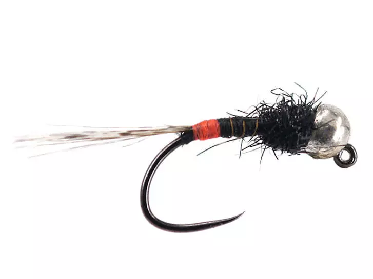 Armandos  Blacky TG Orange Butt BL