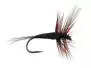 French PL Black Winged