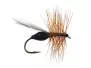 French PL Black Ant