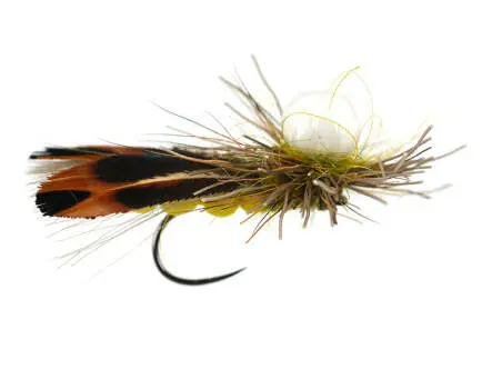 Gs Super Floating Sedge Yellow BL 12