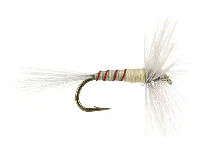 French PL Cream Ribbed 14
