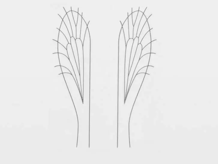 Realistic wing material for wasps, ants, craneflies, midges - size G1