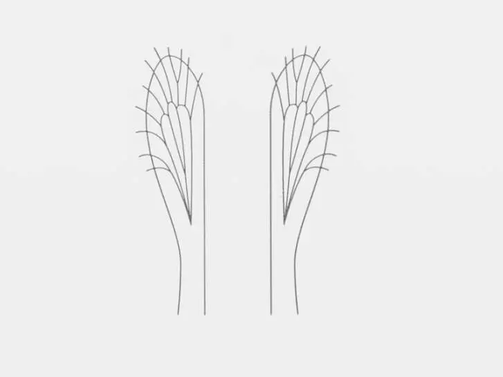 Realistic wing material for wasps, ants, craneflies, midges - size G2