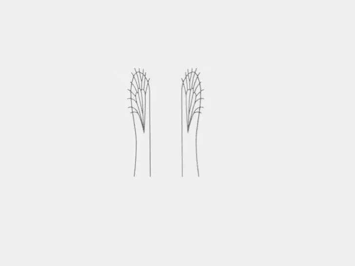 Realistic wing material for wasps, ants, craneflies, midges - size G4