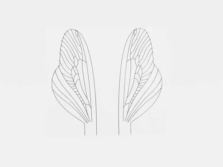 Realistic wing material for spents: caddis and stoneflies - size U2