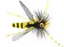 Dangerous Large Wasp SPI 8