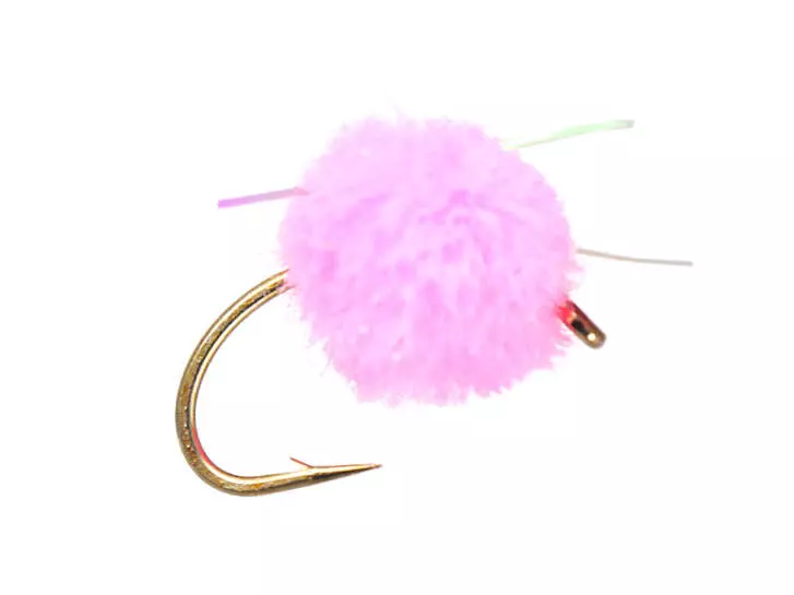 Egg Pink Flash