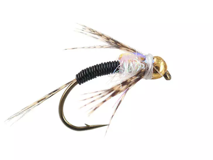 Black Metalribbed Devil