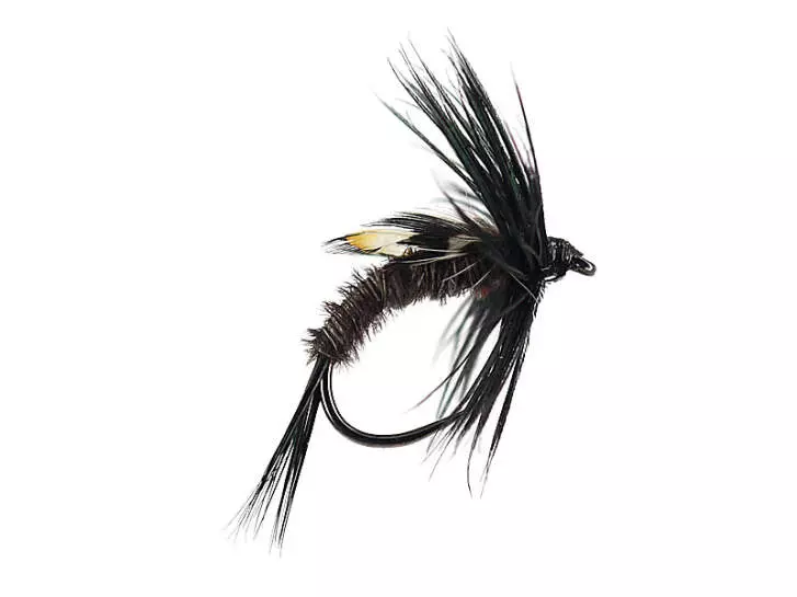 Pheasant Dark JC Nymph BL