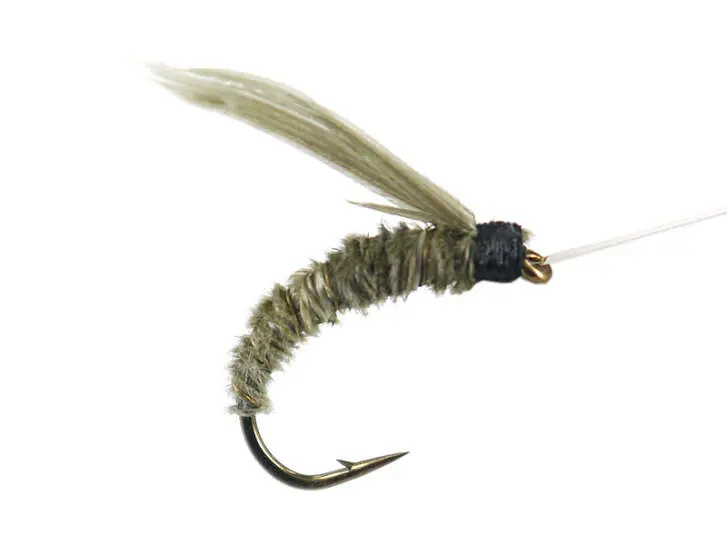 Classic Dirty Olive Catcher 14