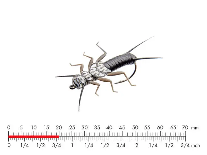 Stonefly Nymph 3 Black 20mm