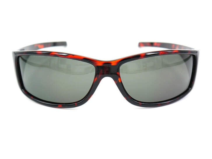 Polarized sunglasses FLY CLASSIC - grey