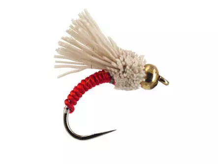 B.H. Serendipity Red BL