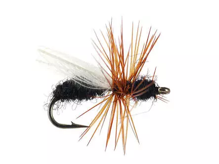 CDC Flying Ant Black