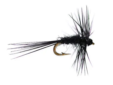 Super Small Black Gnat 22