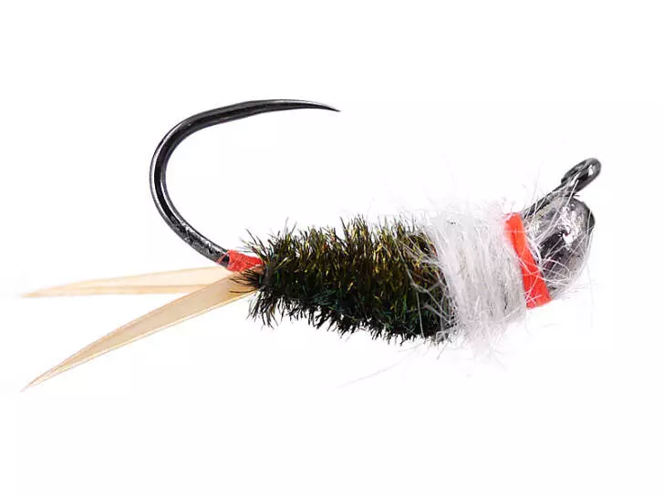 Peacock Terminator Javi TG BL