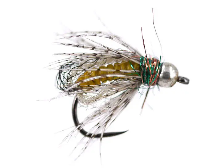 Yellow Comp. Caddis Naturfil Pupa TG BL 12