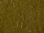 HARE DUBBING PLUS hotfly - 1 g - dark olive