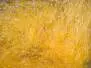 UV-ICE DUBBING hotfly - 1 g - light orange fluo uv