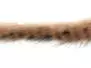 BARRED ZONKER STRIPS hotfly - 2 pc. x 35 cm - brown /...