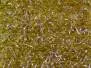 BRILL UV textreme - large - 300 cm - olive