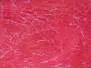 ANGEL HAIR hotfly - 2 g - red