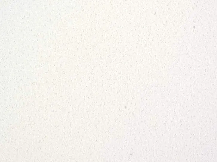 FLY FOAM DELUXE hotfly - 1,0 mm - 150 x 80 mm - 2 pc. - white