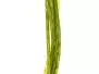 NATURFIL hotfly - 150 cm - Ø 0,4 mm - olive