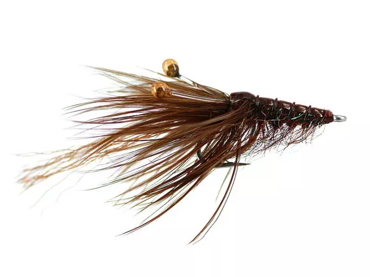 MW Good Year Shrimp Dark