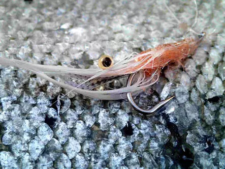 MW Good Year Shrimp Dark