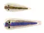 GUMMY MINNOW KIT hotfly - 3 pc.