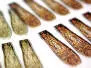 X-TRUE STONEFLY WINGS hotfly - 10 pc.