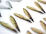 X-TRUE TERRESTRIAL WINGS hotfly - 10 pc.