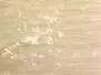 SOFTHIN WING MATERIAL hotfly - 35 mm x 250 cm - beige