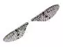 X-TRUE MAYFLY WINGS hotfly - 10 pc. - XL (20 mm) - grey
