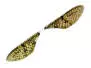 X-TRUE MAYFLY WINGS hotfly - 10 pc. - S (12 mm) - olive