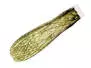 X-TRUE STONEFLY WINGS hotfly - 10 pc. - XS (13 mm) - yellow