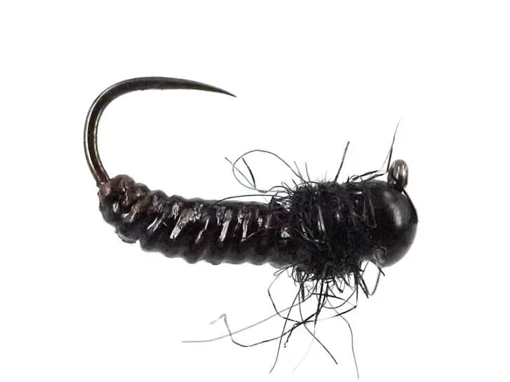 FC Thorax Dark Angel BL TG 12