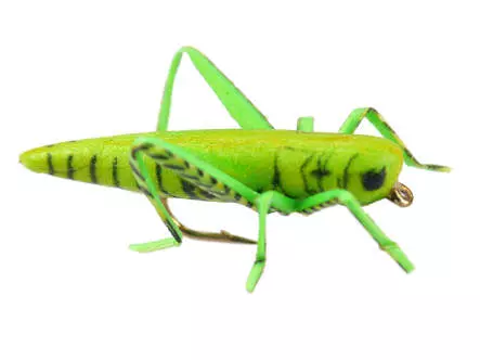 X-true Hopper Green 10