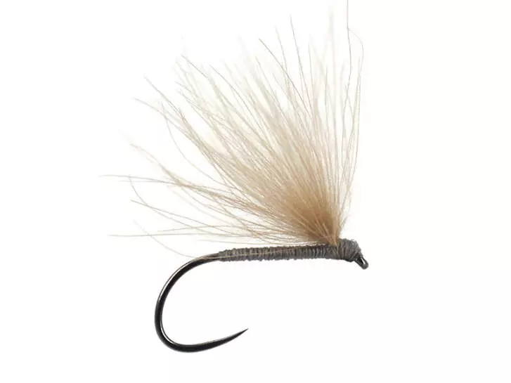 Grey Fratnik Simply Good BL