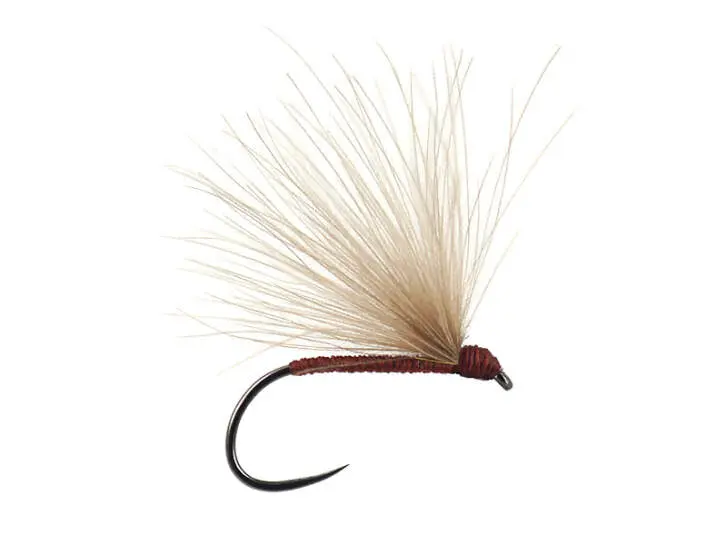 Brown Fratnik Simply Good BL 12