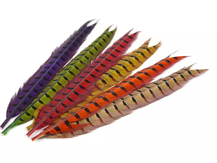 PHEASANT TAIL FEATHER 1° CLASS hotfly - 1 pc. - ca. 50 cm