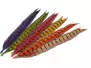 PHEASANT TAIL FEATHER 1° CLASS hotfly - 1 pc. - ca. 50 cm