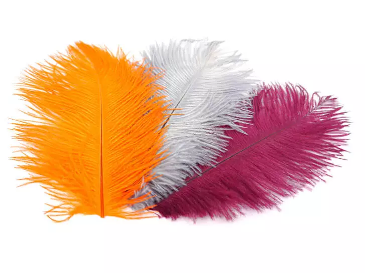 OSTRICH HERL hotfly - 1 pc. - ca. 20 cm