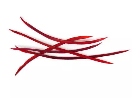 TURKEY BIOTS XL-PACK hotfly - 5 pc. - ca. 15 cm
