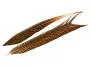 GOLDEN PHEASANT TAIL FEATHER 1° CLASS hotfly - 1 pc. - ca. 60 cm
