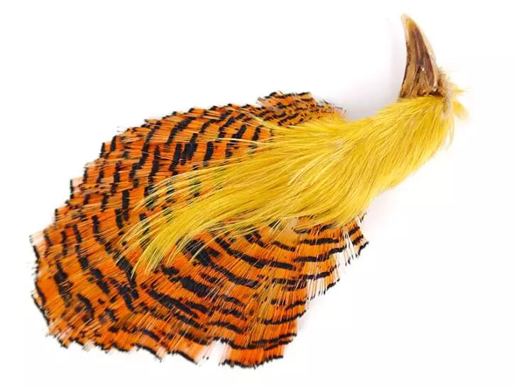 GOLDEN PHEASANT COMPLETE HEAD hotfly