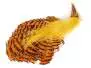 GOLDEN PHEASANT COMPLETE HEAD hotfly