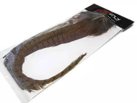 RINGNECK PHEASANT COCK COMPLETE TAIL hotfly