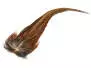RINGNECK PHEASANT COCK COMPLETE TAIL hotfly
